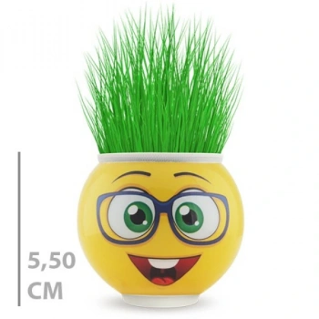 Nevamel Çim Adam Saksı Emoji Figürlü 1 Adet