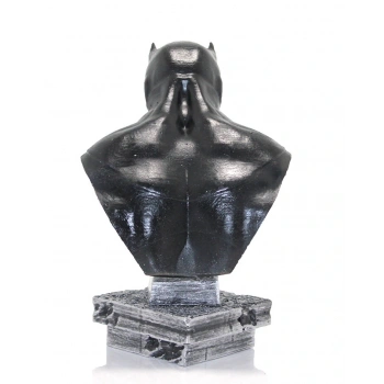 Nevamel Darth Vader Büst