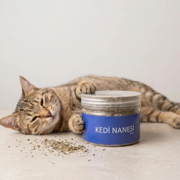 Nevamel® Doğal Kedi Nanesi (Catnip) - 250 ml Kavanoz - Eğlenceli ve Doğal