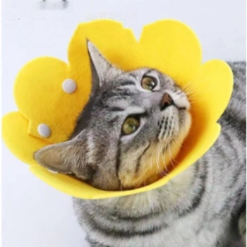 Nevamel Evcil Hayvan M Boy Keçe Elizabeth Yakalığı