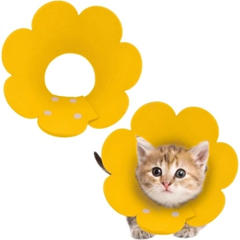 Nevamel Evcil Hayvan S Boy Keçe Elizabeth Yakalığı