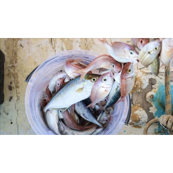 Nevamel Misina İpi 300 Metre