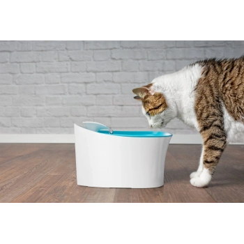 Nevamel Otomatik Uyarılı Kedi Köpek Su Kabı