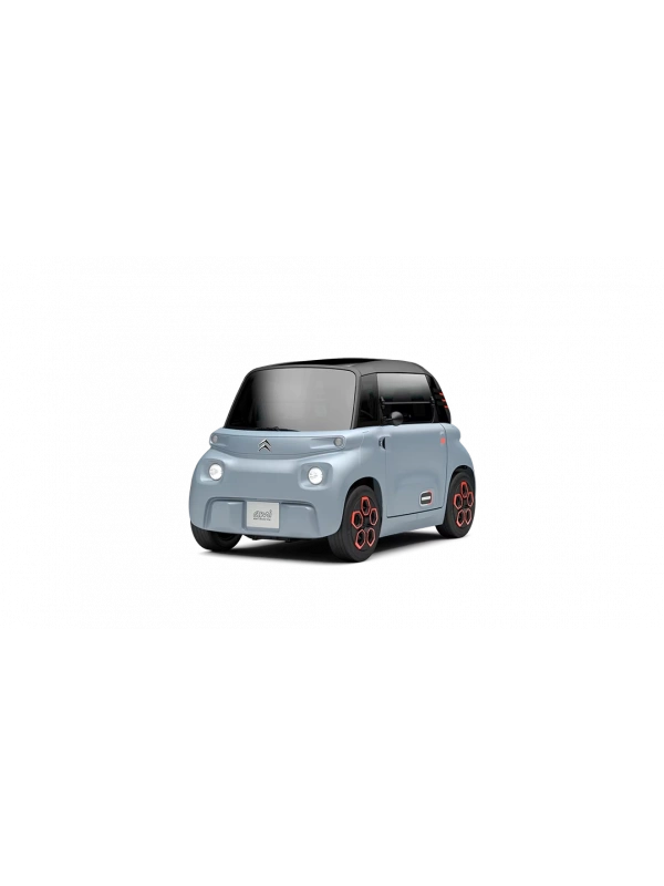 Citroen Ami Elektrikli Araba Bataryası