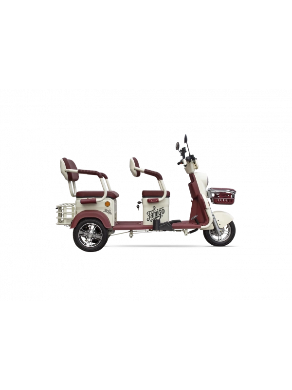 Falcon Famigo 10000 Elektrikli Moped Bataryası