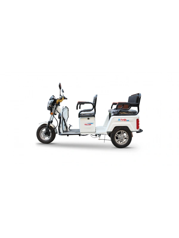 Falcon Family 8000 Elektrikli Moped Bataryası