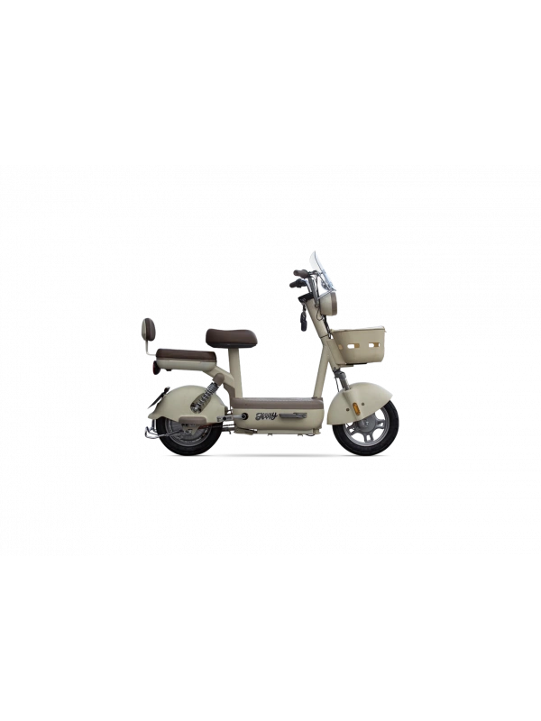 Falcon Happy 249 Elektrikli Motosiklet Bataryası