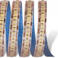 BUĞZ 1 Adet 5 Metre CATA CT 4539 İç Mekan 24V 240 Ledli Şerit Led 4000K