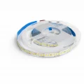 BUĞZ 1 Adet 5 Metre CATA CT 4539 İç Mekan 24V 240 Ledli Şerit Led Amber Işık