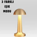 BUĞZ %100 Kademeli Ayarlanabilir Işık – USB Şarjlı Masa Lambası