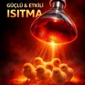 BUĞZ 100W Isıtıcı Ampul Kırmızı Isı Lambası Civciv Kümes Kuluçka E27 Duy Isıtma Ampulü
