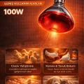 BUĞZ 100W Isıtıcı Ampul Kırmızı Isı Lambası Civciv Kümes Kuluçka E27 Duy Isıtma Ampulü