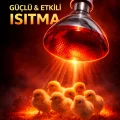 BUĞZ 150W Isıtıcı Ampul Kırmızı Isı Lambası Civciv Kümes Kuluçka E27 Duy Isıtma Ampulü
