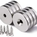 BUĞZ 2 Adet 25x10/5x5,5 mm Neodyum Mıknatıs Havşa Delikli Magnet Vida Atılabilir N35 Nikel Paslanmaz