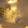 BUĞZ 2m Pilli Peri Led Rgb 50li Paket