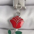 BUĞZ 316L Çelik Gümüş Renk Sallantı Kırmızı Gül Model Nomination Charm