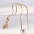 BUĞZ 316L Çelik Zincir Altın Renk Zincirli Gümüş Renk Deniz Yıldızı Tasarımlı Kolye - Lisinya