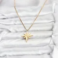 BUĞZ 316L Çelik Zincir Gold Renk Kutup Yıldızı Model 60 cm Zincir Kadın Kolye - Lisinya
