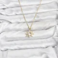 BUĞZ 316L Çelik Zincir Gold Renk Kutup Yıldızı Model Zirkon Taşlı Kadın Kolye
