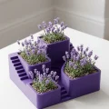 BUĞZ 3D Kaktüs Saksısı Modern Çok Bölmeli Dekoratif Tasarım