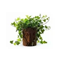 BUĞZ 3D Sanatsal Ağaç Yüzlü Dekoratif Vazo Doğa Temalı Özel Tasarım Saksı