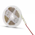 BUĞZ 5 Metre NOAS YL35 2402 İç Mekan 12V 240 Çip Şerit Led Gün Işığı 3200K
