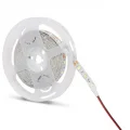 BUĞZ 5 Metre NOAS YL40 4005 İç Mekan 12V Yeşil Şerit Led
