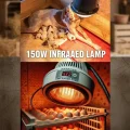 BUĞZ (6 Adet) 150W Kızılötesi Isıtıcılı Hayvan Isıtma ve Kuluçka Lambası (Kırmızı Işık) E27 (Kalın Duy) ( BUĞZ )
