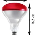BUĞZ (6 Adet) 250W Kızılötesi Isıtıcılı Hayvan Isıtma ve Kuluçka Lambası (Kırmızı Işık) E27 (Kalın Duy)