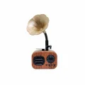 BUĞZ Ahşap Kaplamalı Nostaljik Mini Bluetooth Hoparlör, USB ve SD Kart Girişli, Şarj Edilebilir