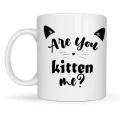 BUĞZ Are You Kitten Me? Yazılı Kedi Temalı Porselen Kupa MODEL 58 Sevimli Tasarım, Kahve & Çay Kupası