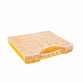 BUĞZ Asr-2050 Pro Organizer 22