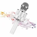BUĞZ Bluetooth bağlantılı pembe karaoke mikrofonu dahili hoparlörlü usb tf kart destekli 2 yıl garantili