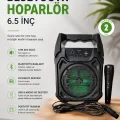 BUĞZ Bluetooth Hoparlör Mikrofonlu Taşınabilir Ses Sistemi FM Radyo, USB, SD Kart ve TWS Özellikli
