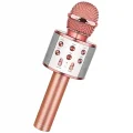 BUĞZ Bluetooth Karaoke Mikrofon Bx40