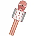 BUĞZ Bluetooth Karaoke Mikrofon Bx40