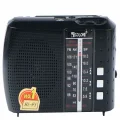 BUĞZ Bluetooth özellikli siyah nostaljik radyo FM AM SW USB TF kart destekli 2 yıl garantili
