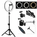 BUĞZ BX AKSESUAR 14 İNÇ SELFİE IŞIĞI 3 RENK + 2.1 METRE TRİPOD SI02