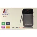 BUĞZ Cep tipi taşınabilir FM radyo, pilli, çok renkli, 2 yıl garantili - Elektronik - Müzik Sistemleri