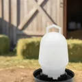 BUĞZ Civciv Suluk 0,75 ML Kaliteli Plastik + Tabak Yemlik