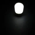 BUĞZ CT 4261 Cata 2 W Buzdolabı Led Ampul Günışığı 3000K E14 Duy