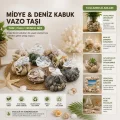 BUĞZ Dekoratif Vazo Taşı - Midye ve Deniz Kabuğu - Fileli Renkli Mix