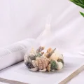 BUĞZ Dekoratif Vazo Taşı - Midye ve Deniz Kabuğu - Fileli Renkli Mix