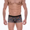 BUĞZ Don Moris Erkek Desenli Boxer