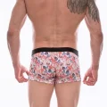 BUĞZ Don Moris Erkek Desenli Boxer