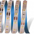 BUĞZ -- 5 METRE CATA CT 4484 İç Mekan 12V 10 Çipli Şerit Led Mavi Işık