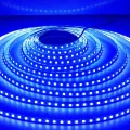 BUĞZ -- 5 METRE CATA CT 4484 İç Mekan 12V 10 Çipli Şerit Led Mavi Işık