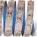 BUĞZ -- 5 METRE CATA CT 4535 İç Mekan 12V 12 Çipli  Şerit Led 6400K Beyaz Işık