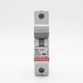 BUĞZ Eco Lounge FEDERAL 1X10 A C Tipi 3Ka Otomatik Sigorta FM3-C 9EC-C0331-0D10