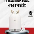 BUĞZ El Tipi USB Mini Soğuk Mist Nemlendirici 220 ml Tank
